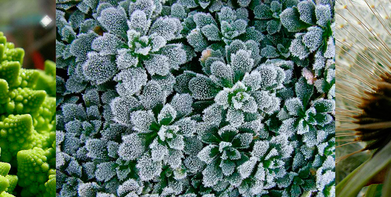 Nature_3
